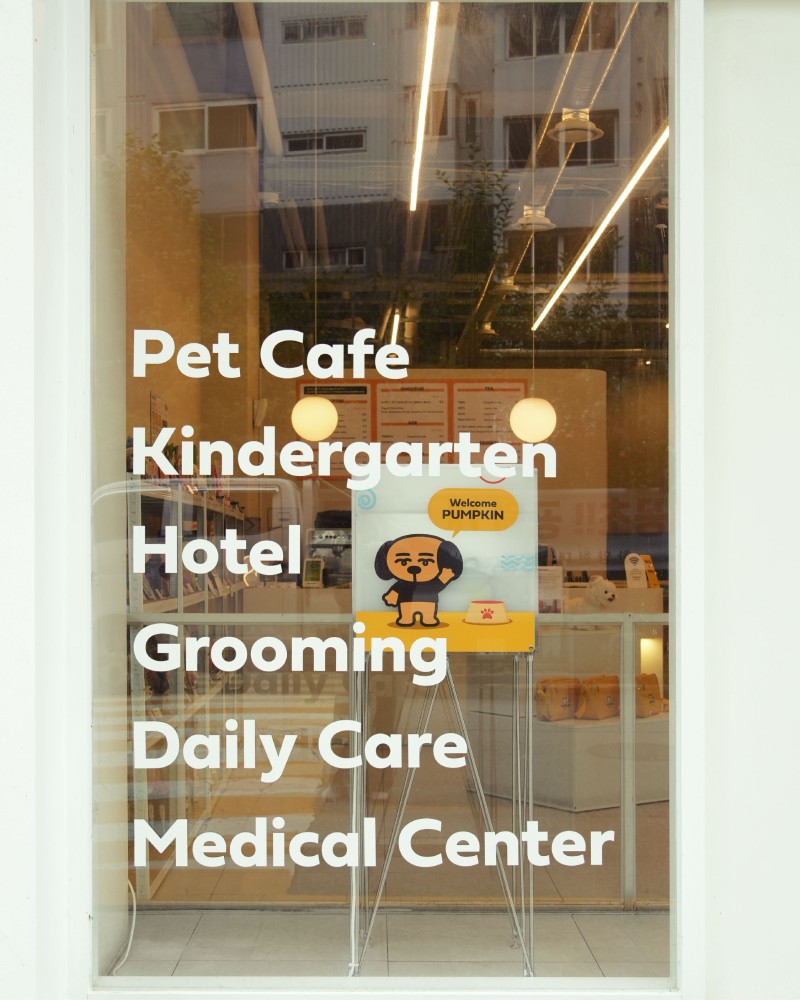 PUMPKIN PET x PICKYPIC 포토부스 렌탈 이미지 2